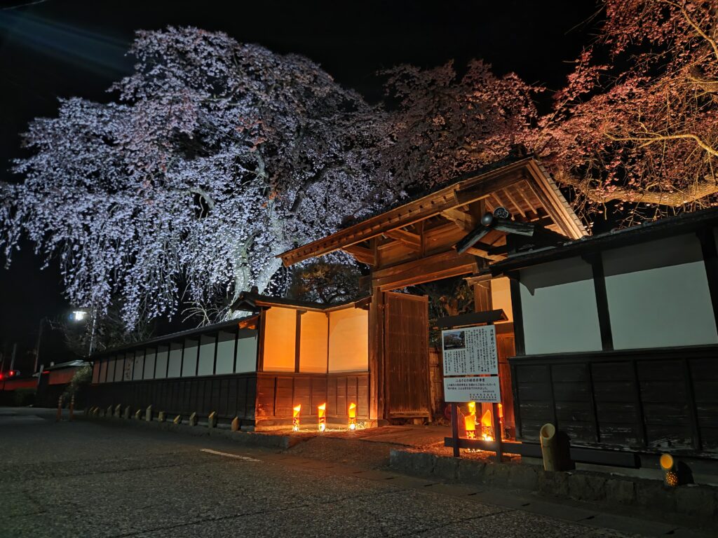 宮城県登米市のみやぎの明治村、清野家住宅で３日間限定で開催された夜桜ライトアップ。美しいしだれ桜と歴史ある門の風景、竹あかりが幻想的な光景。