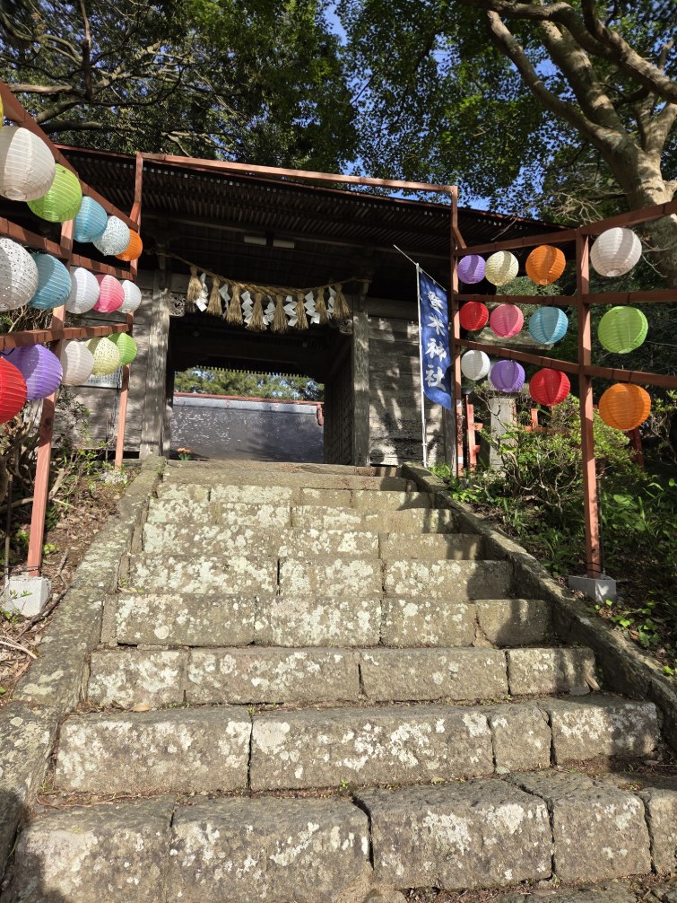 宮城県登米市の登米神社で開催されたペットイベント「おさんぽ詣」の境内風景。