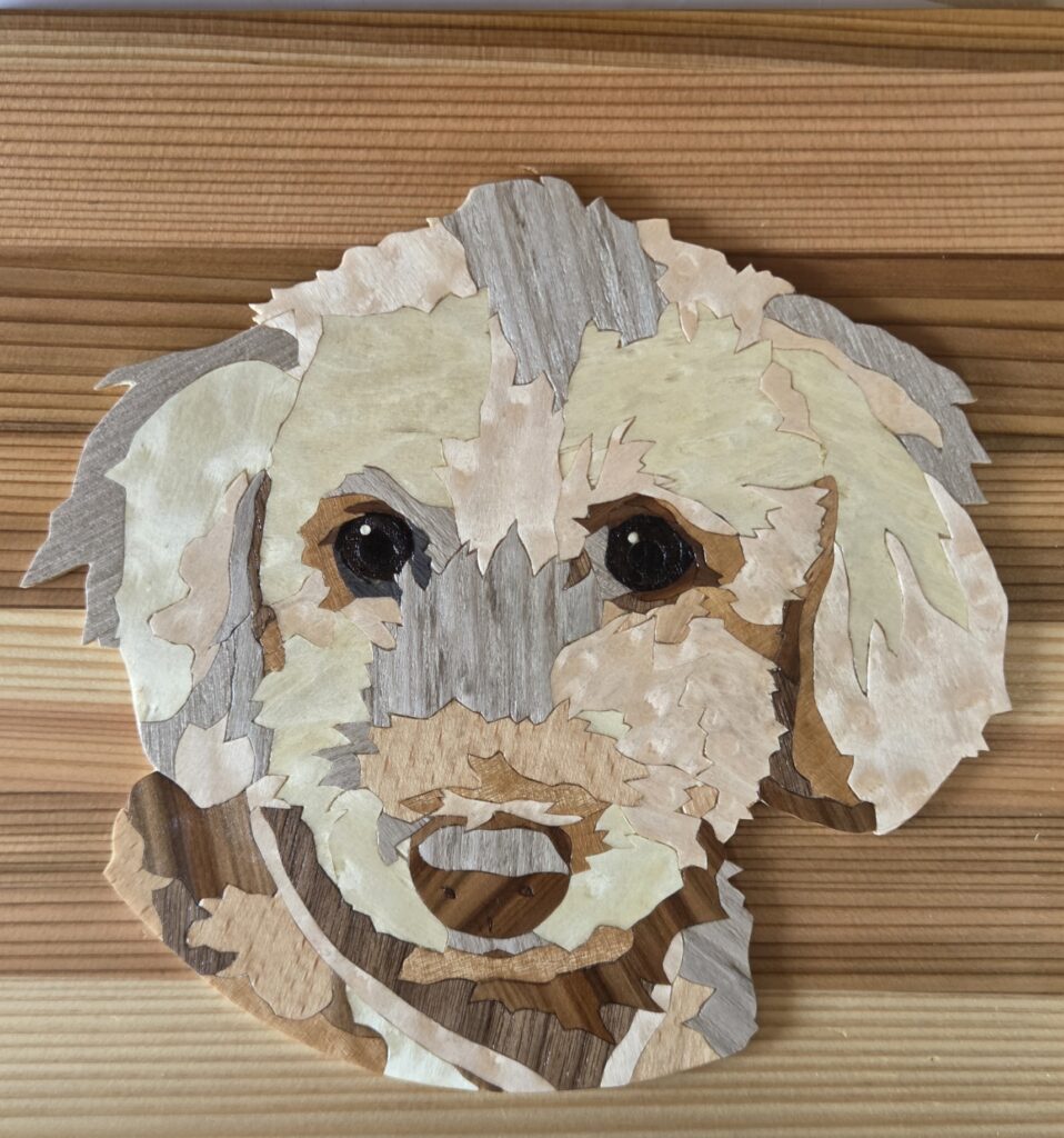 天然木の木象嵌によるペット肖像画の完成品。トイプードルの生き生きとした表情が忠実に再現されている。